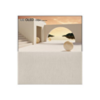 LG 65ART90E6QA.APD 65" 165 Ekran OLED TV
